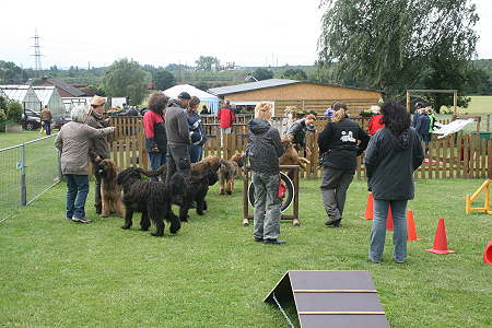 Briard_AG 005-450