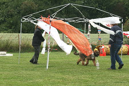 Briard_AG 142-450