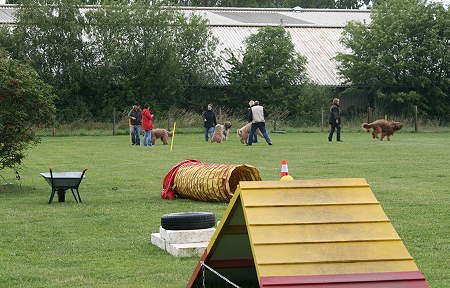 Briard_AG 155-450