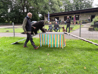 Briardag-06-07 Tisch-Bretter_9154-400