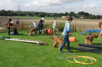 Briardag-120909-JH-01-400
