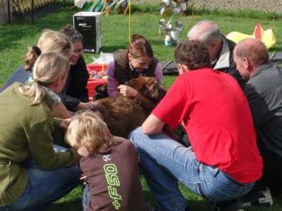 Briardag-120909-welpen-05-400