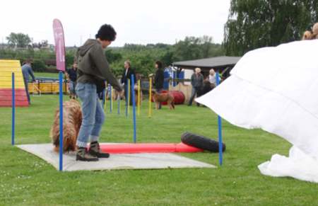 Briardag-160509-02-450