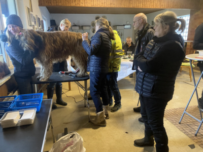 Briardag 2023-02-05_4036-400