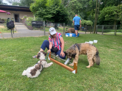 Briardag 2023-06-18_7611-400
