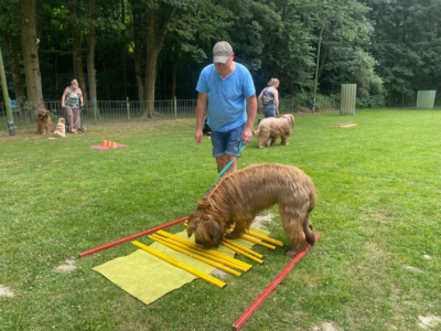 Briardag 2023-06-18_7629-400