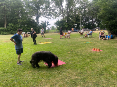 Briardag 2023-06-18_7637-400