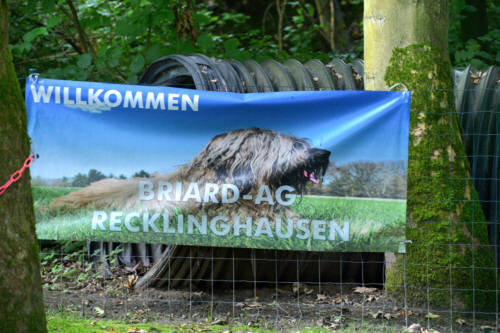 Briardag 2023-08-20 Banner-4e3fcbb67dfe-500