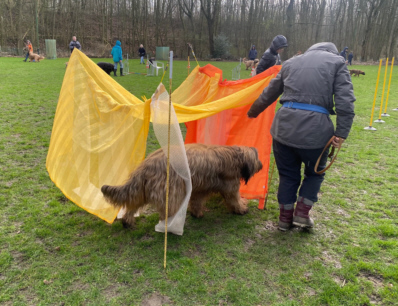 Briardag 2024-02-25_5525-400