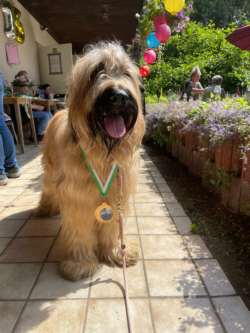 Briardag 2024-06-23 Hund Plakette-9611be15c09c 250