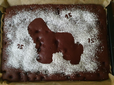 Briardag 2024-06-23 Kuchen-c41f847e63eb 400