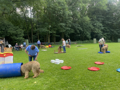 Briardag 2024-06-23 Platz_9024-400