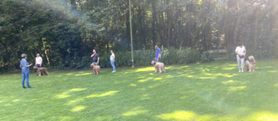 Briardag 2024-06-23 Ringtraining_9103 400