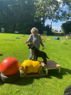 Briardag 2024-06-23 Welpe Blle-228b70feeaaf-250