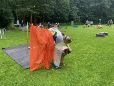Briardag 2024-07-21 Welpe Flatterstange_9787-400