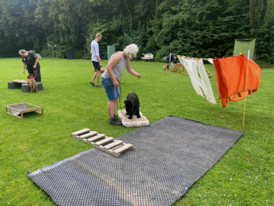 Briardag 2024-07-21 Welpen auf Platz_9776-400