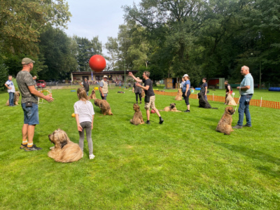 Briardag 2024-08-18_0848 400