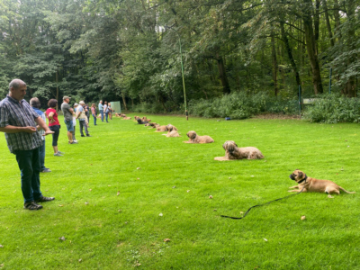 Briardag 2024-08-18_0868 400