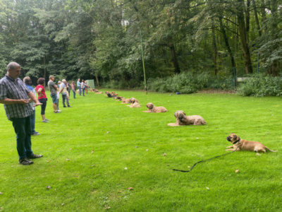 Briardag 2024-08-18 Hundereihe_0868-400