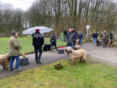Briardag 2024-12-15_4589--400