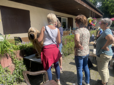 Briardag 202406-23 Friseur_9071 400