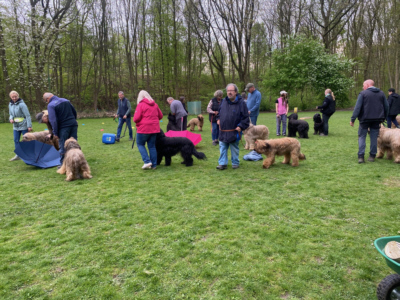 Briardag 2025-04-13_8150-400