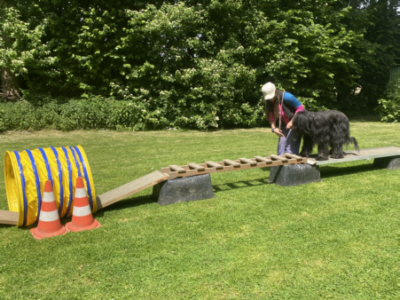 Briardag 2025-05-18 Parcours_9232-400