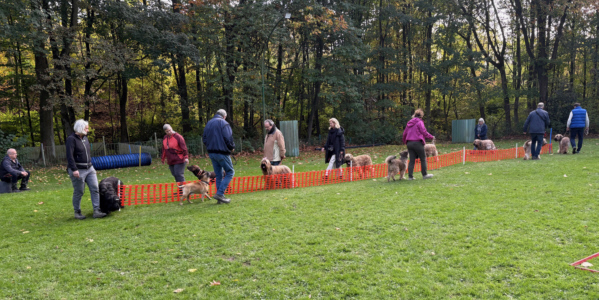 Briardag 2025-10-19 LANGSAM_4113-600