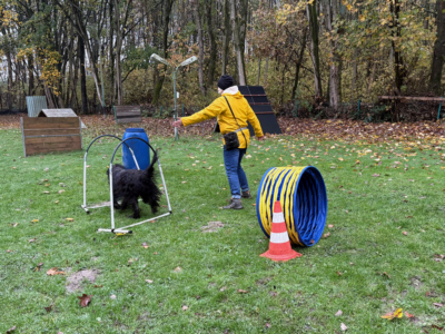 Briardag 2025-11-16 Hoopers_4933-400