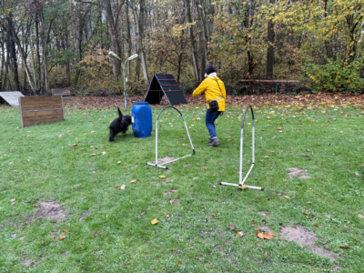 Briardag 2025-11-16 Tonne_4923-400