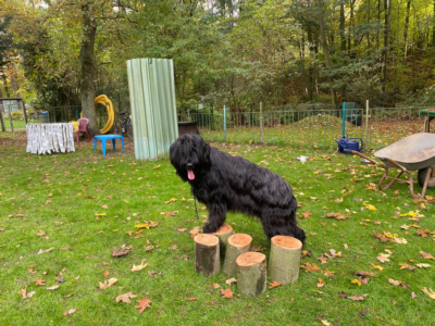 Briardag 23-10-2022_1398-400