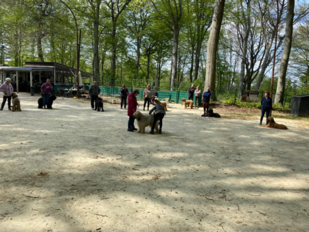Briardag 24-04-2022-f06cbfee3e16-450a