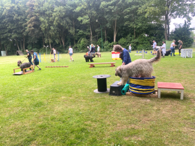 Briardag 26-06-2022_7936-400