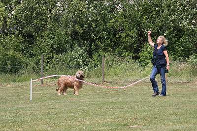 IMG_7171-400
