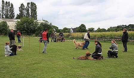 IMG_7351-450