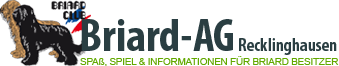 briard-ag-logo-farbig
