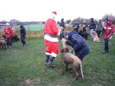 briardag-051209-geschenke-400