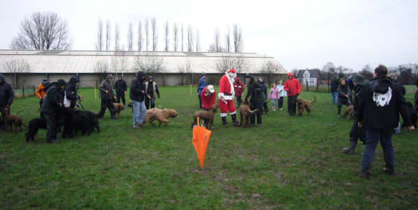 briardag-051209-niko02-600