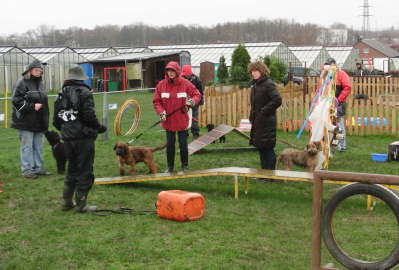 briardag-051209-welpen-400