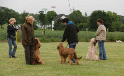 briardag-060709-04-400