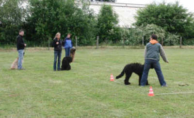 briardag-060709-09-400