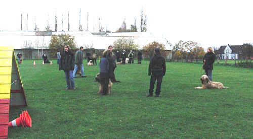 briardag-071109-bh2-500