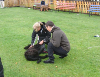 briardag-10-10-09-JH1-400
