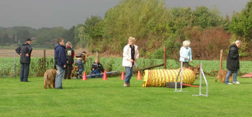 briardag-101009-geraet-500