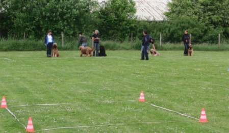 briardag-160509-05-450