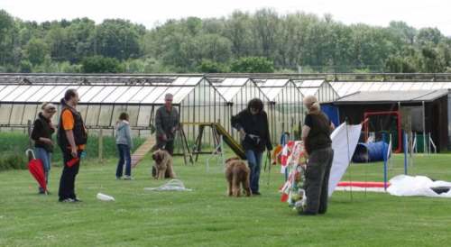 briardag-160509-08-500