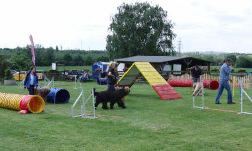 briardag-160509-09-500