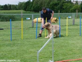 briardag-160509-17-350