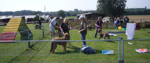 briardag-jh-150809-01-500