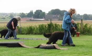 briardag-parcours-110709-04-350
